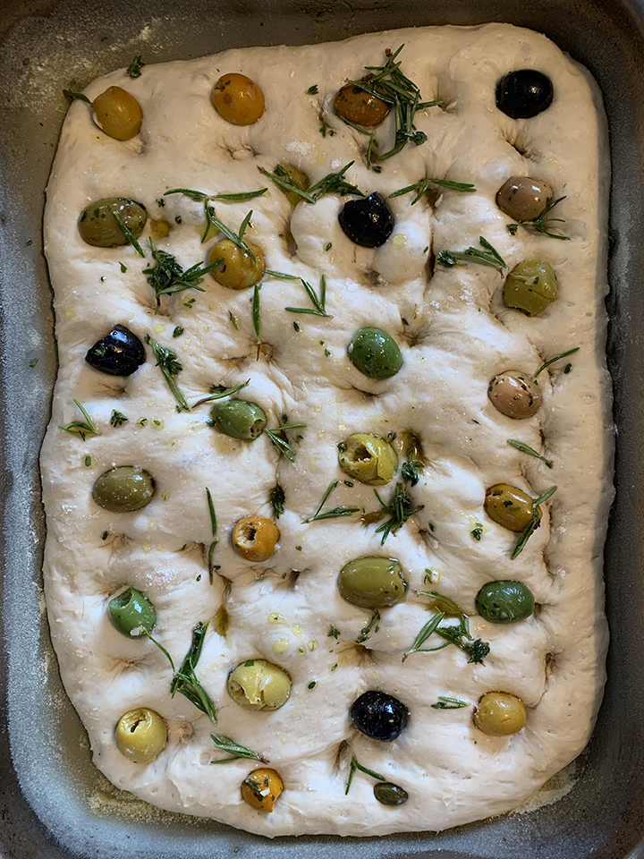 Fig & Rosemary Focaccia before